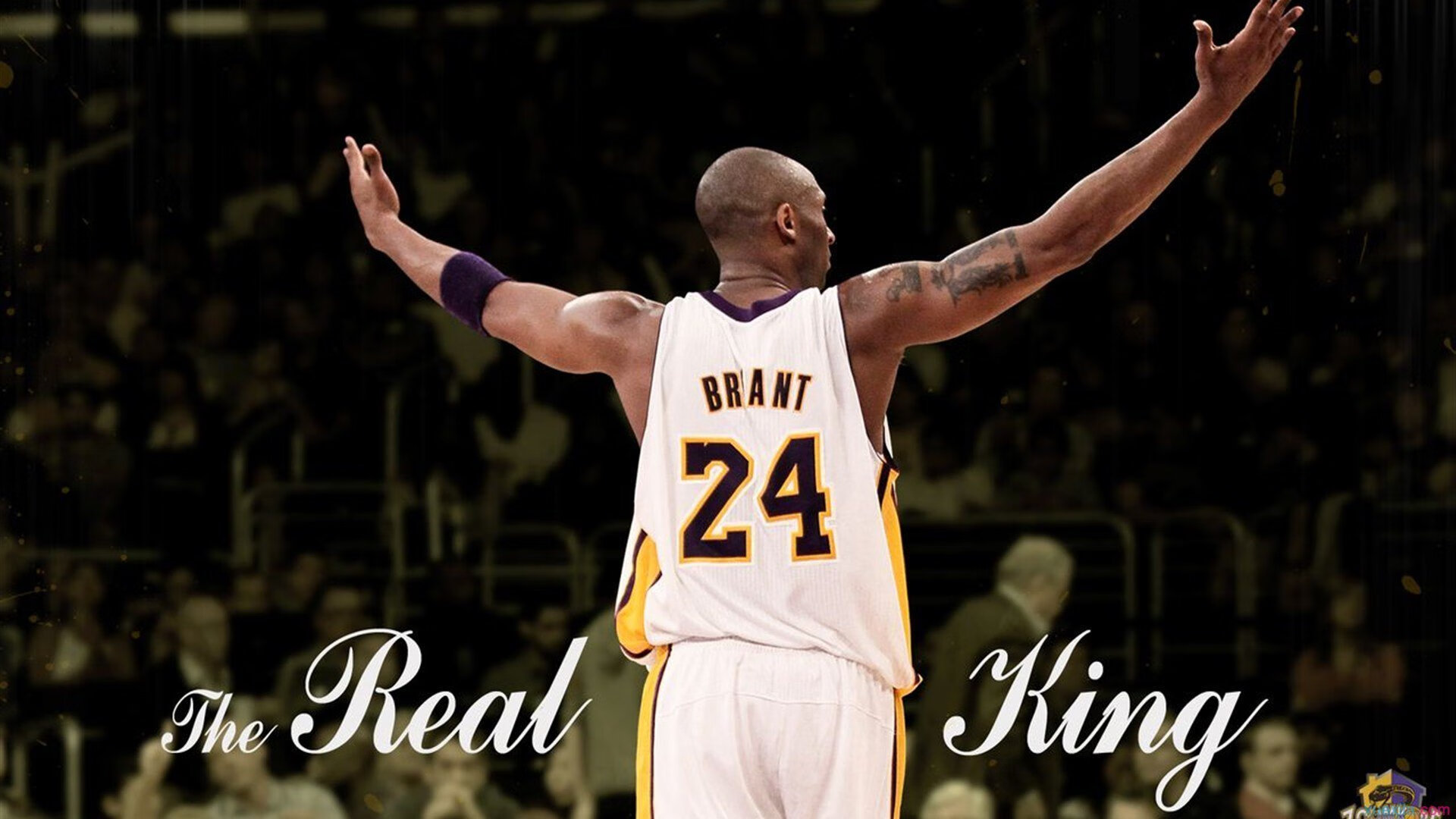 体育场馆设备智能化升级，体育场馆智能化改造