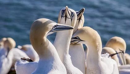 华体会电竞平台-中国青少年篮球发展政策落实现状及优化方案研究，青少年篮球发展现状及对策研究