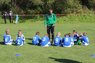 华体会-德甲球队战术模拟平台辅助比赛策略调整的应用研究，德甲游戏